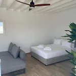 The View Of Mykonos